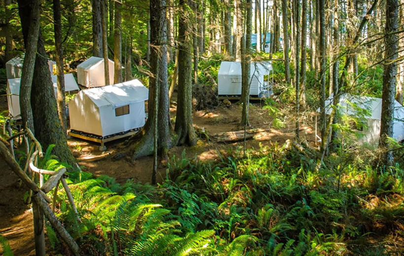 Yosemite National Park Weekend Hiking Tour